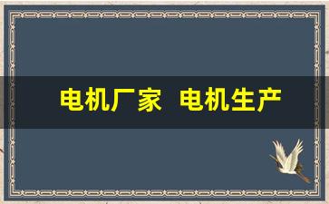 电机厂家  电机生产厂商有哪些(电机制造厂家排名)_https://www.eamstsz.com_上交所_第1张